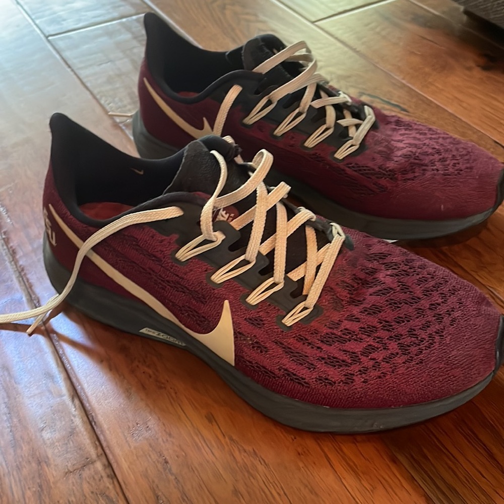 Florida State Nike air zoom Pegasus 36